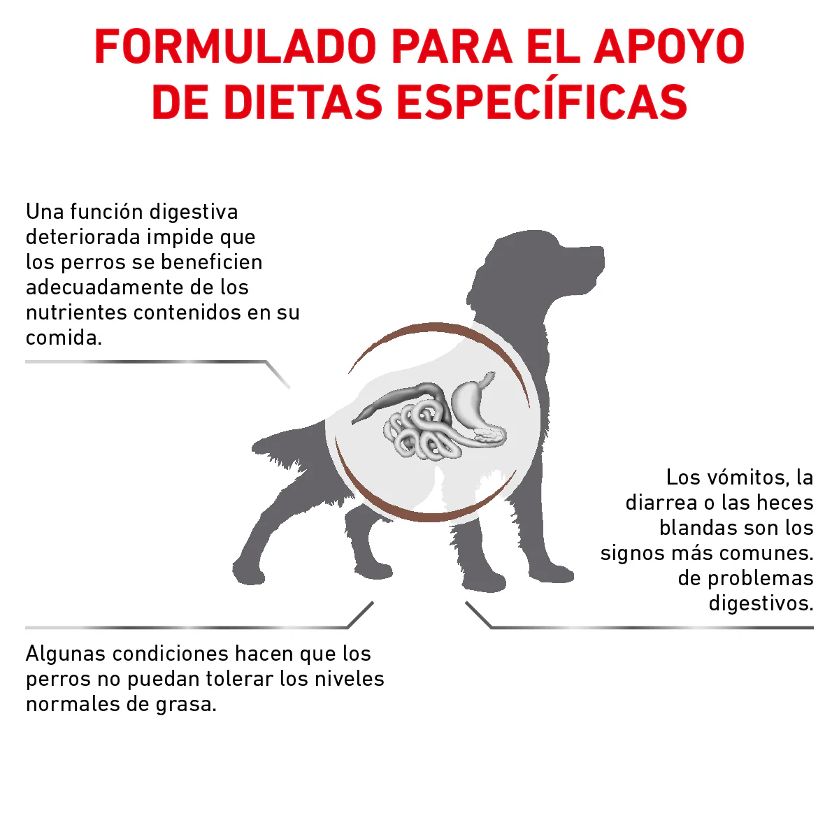 Gastro Intestinal Low Fat Royal Canin - Image 3