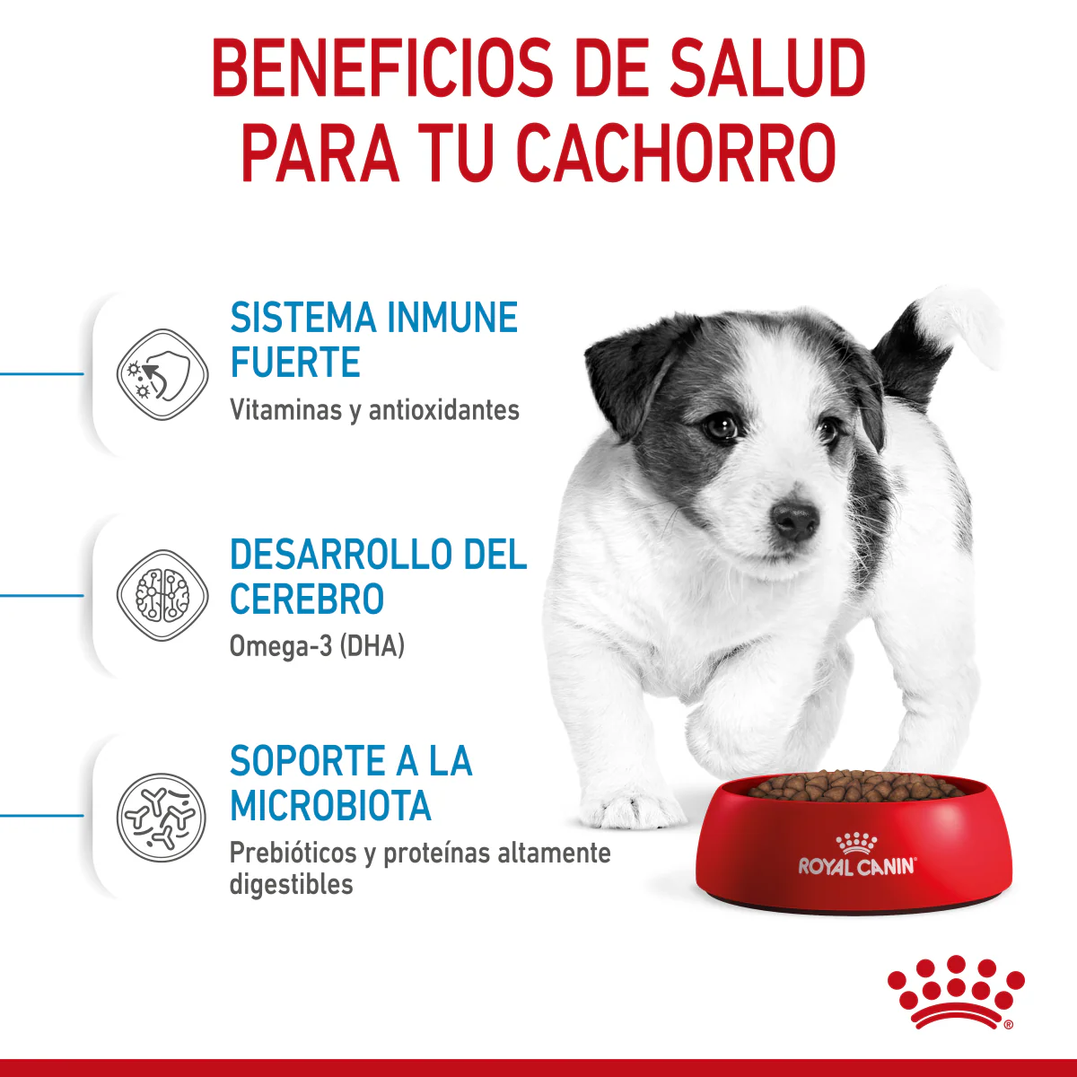 Small Puppy Petit Royal Canin - Image 5