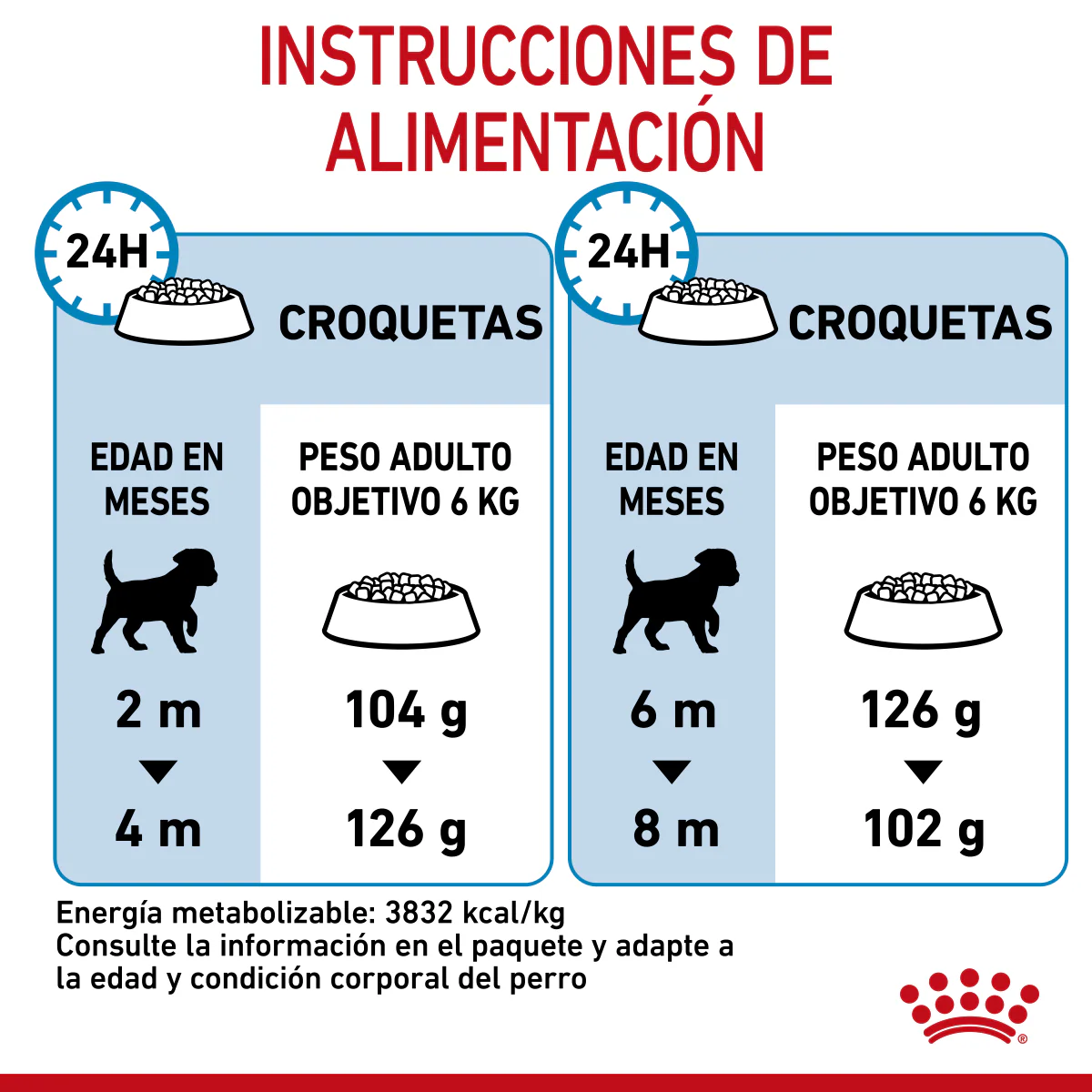Small Puppy Petit Royal Canin - Image 7