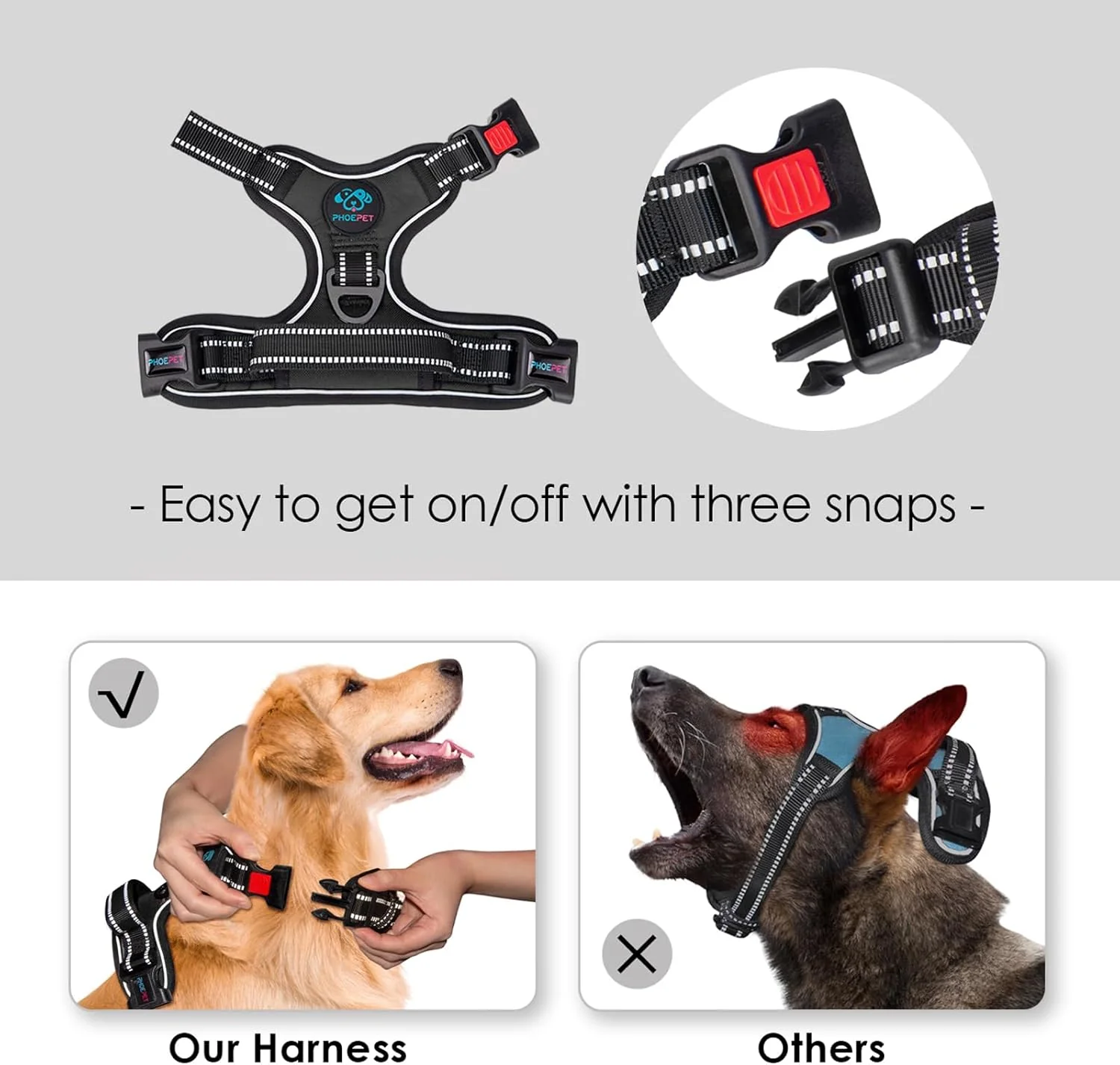 Newest Products
