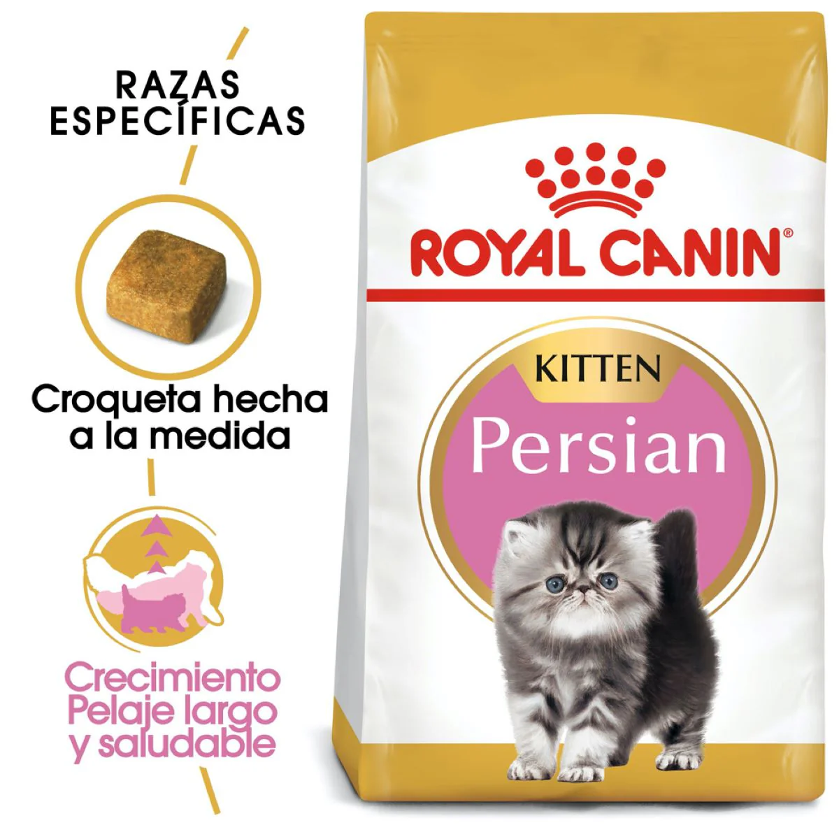 Persian Kitten 1.3kg - Image 3