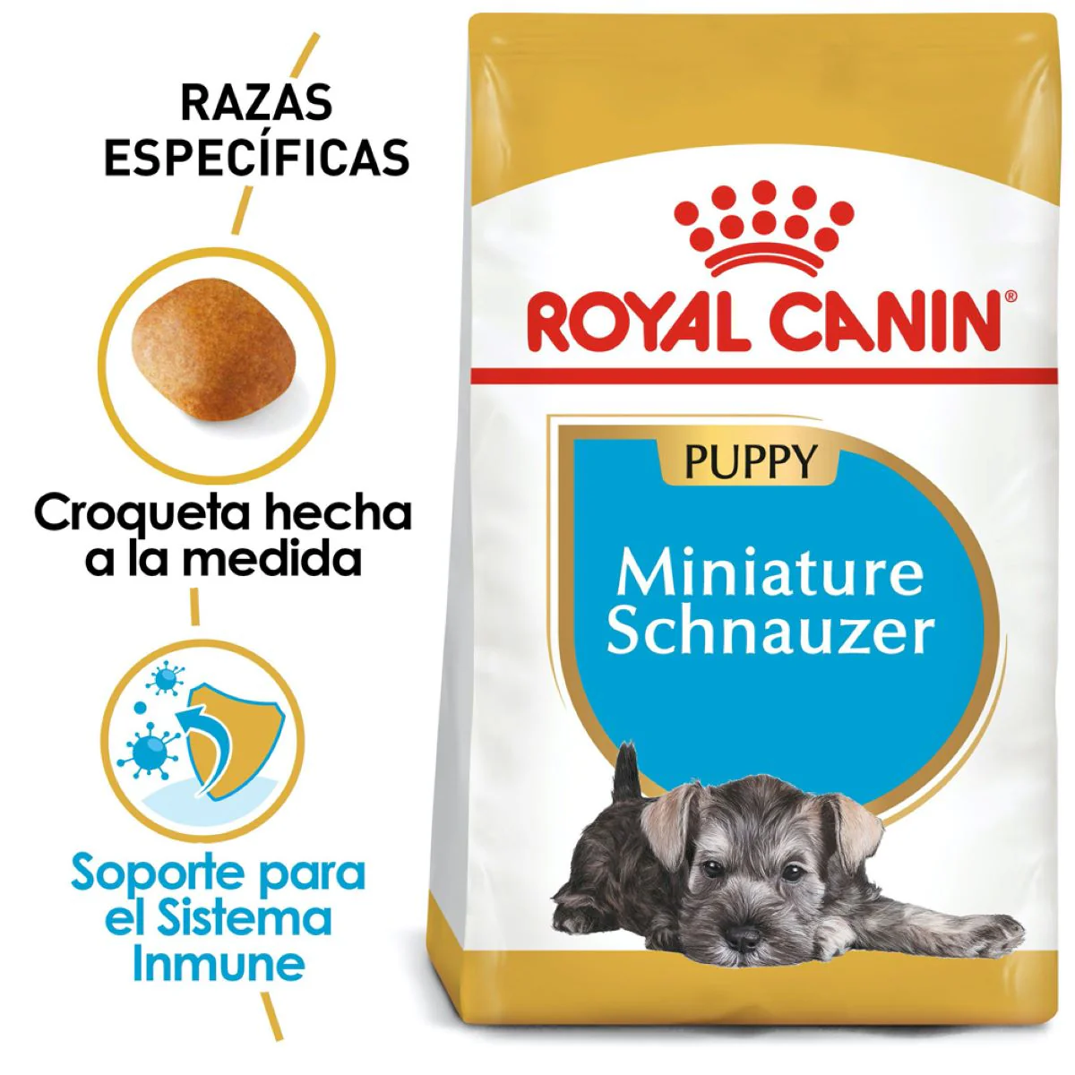 Schnauzer Puppy 1.1 Kg. - Image 3