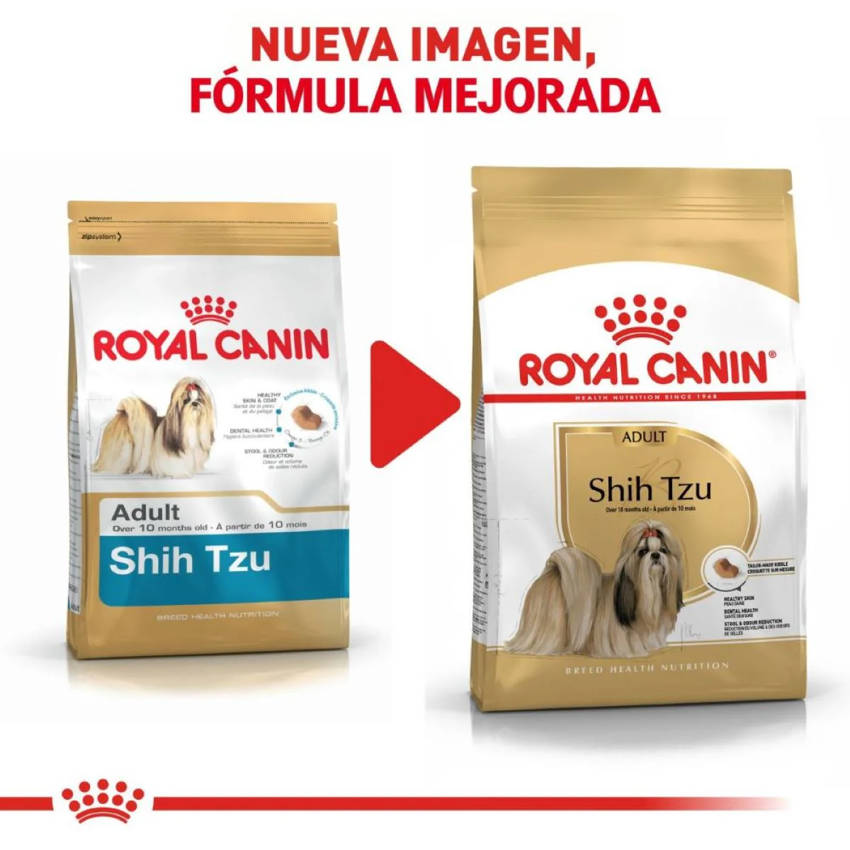 SHIH TZU 1.13 kg - Image 8